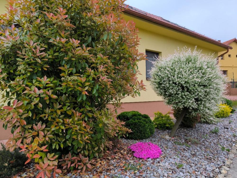 Ubytovani U Janca Lednice Exterior photo